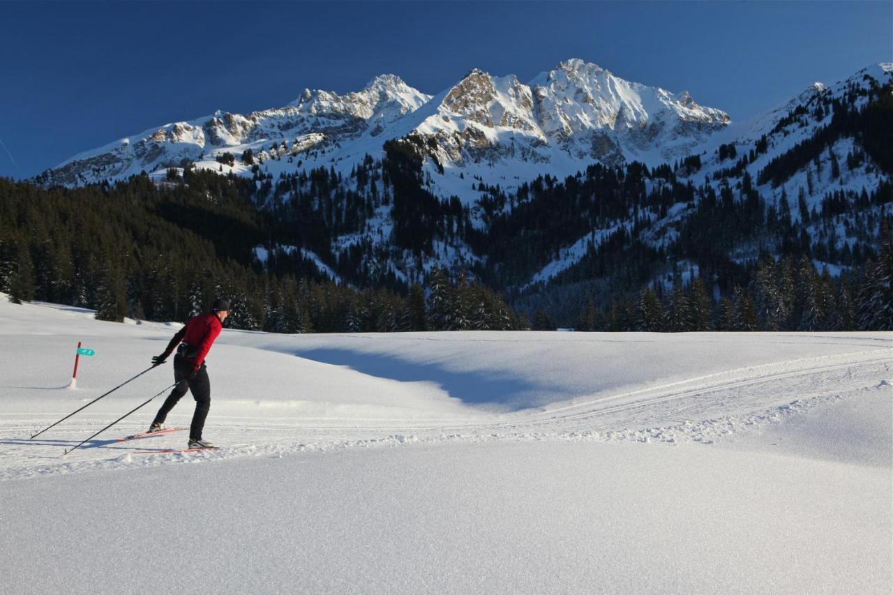 Winterfell Villa Leysin Ngoại thất bức ảnh