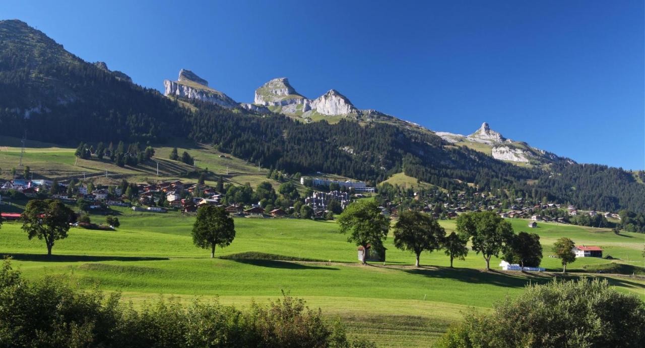 Winterfell Villa Leysin Ngoại thất bức ảnh