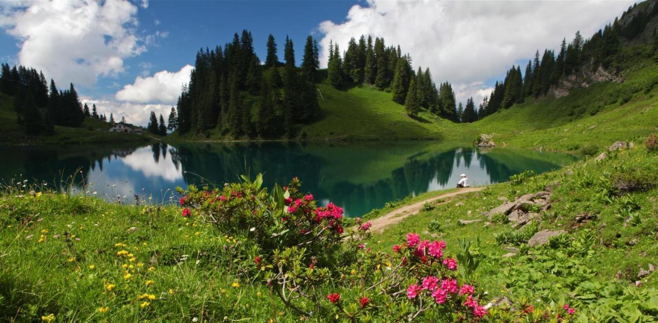 Winterfell Villa Leysin Ngoại thất bức ảnh