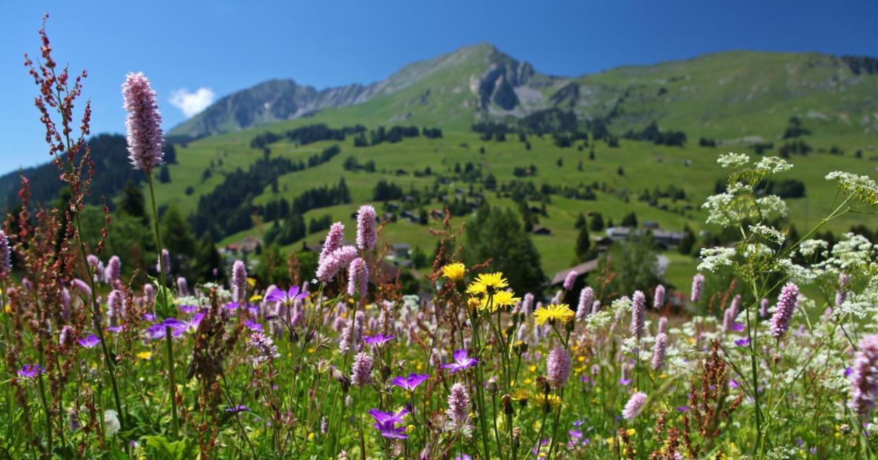 Winterfell Villa Leysin Ngoại thất bức ảnh